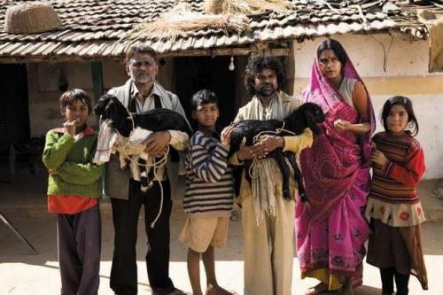 Peepli is MPI poor